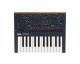 KORG Monologue Blue