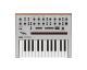 KORG Monologue Silver