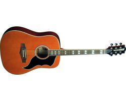 EKO Ranger XII VR Natural Top Stained