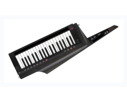 KORG RK-100S2 BK