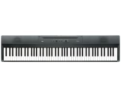 KORG Liano Metallic Gray